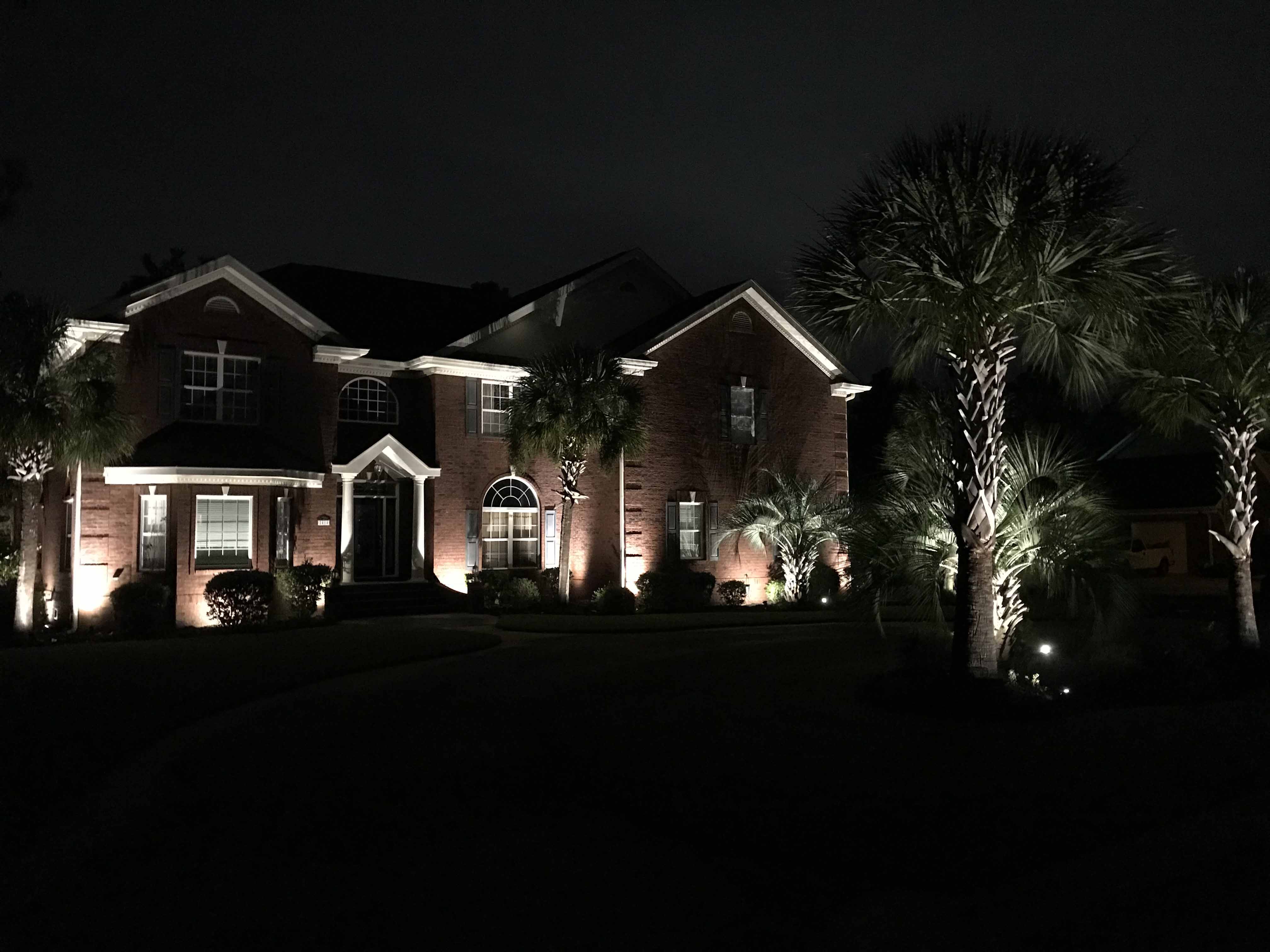 Night Lights