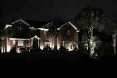 Night Lights